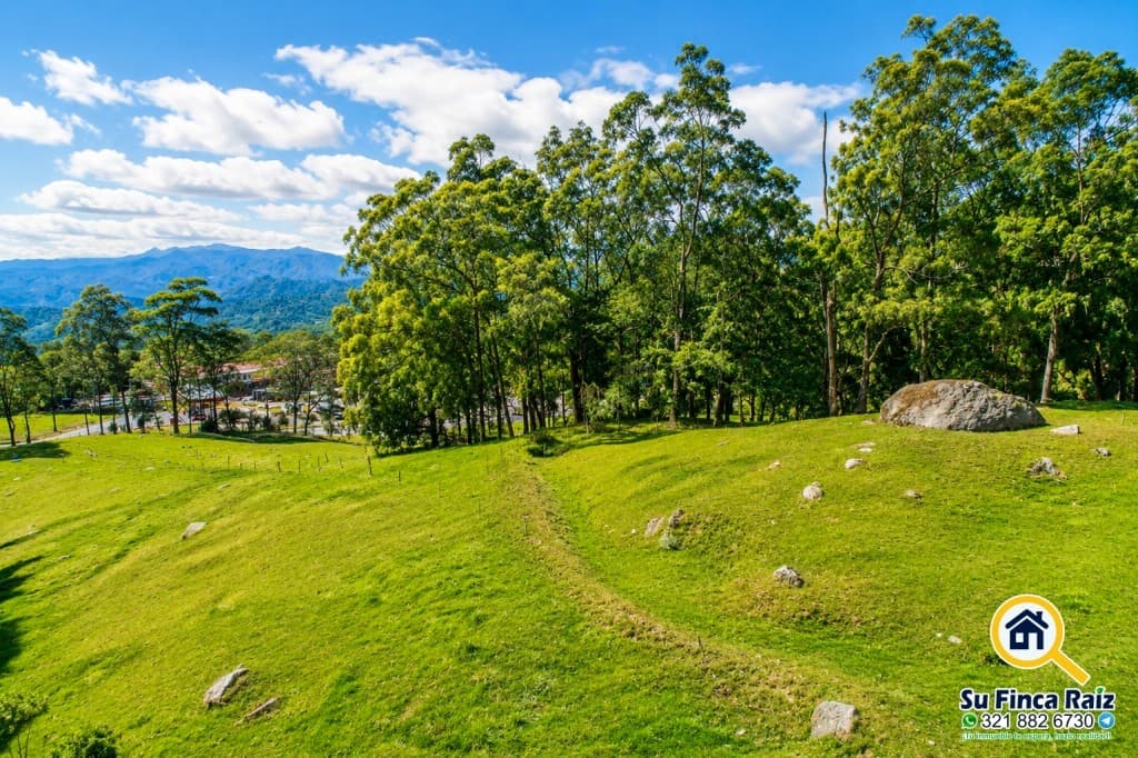 Lote para proyecto