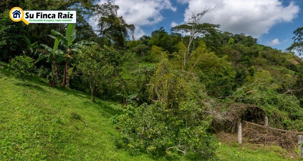 Finca El Cural Andres en venta La Vega, Cundinamarca - LVF024 · Su Finca Raíz