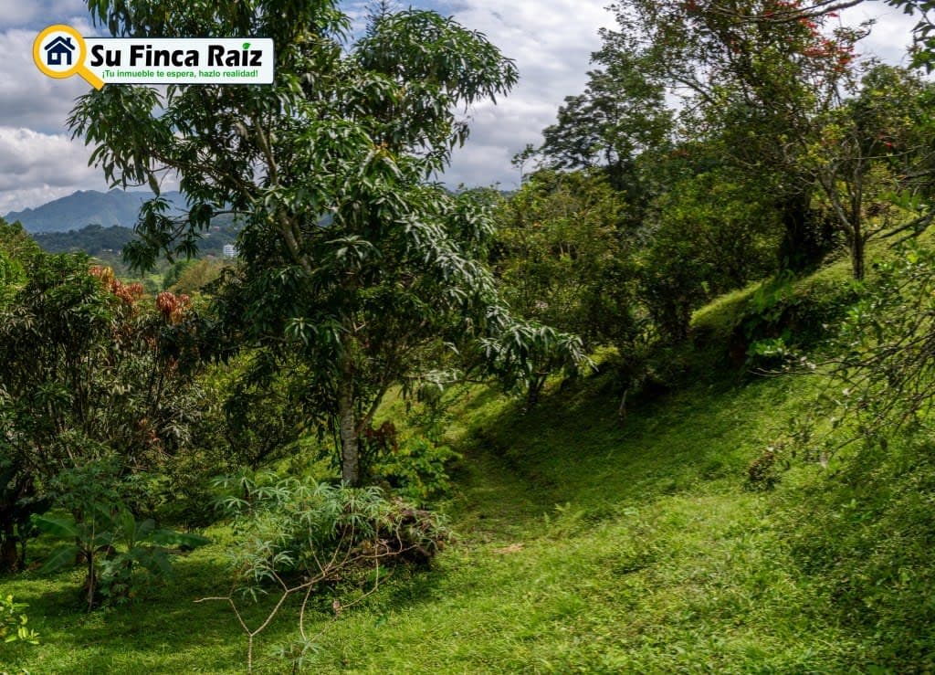 Finca El Cural Andres en venta La Vega, Cundinamarca - LVF024 · Su Finca Raíz