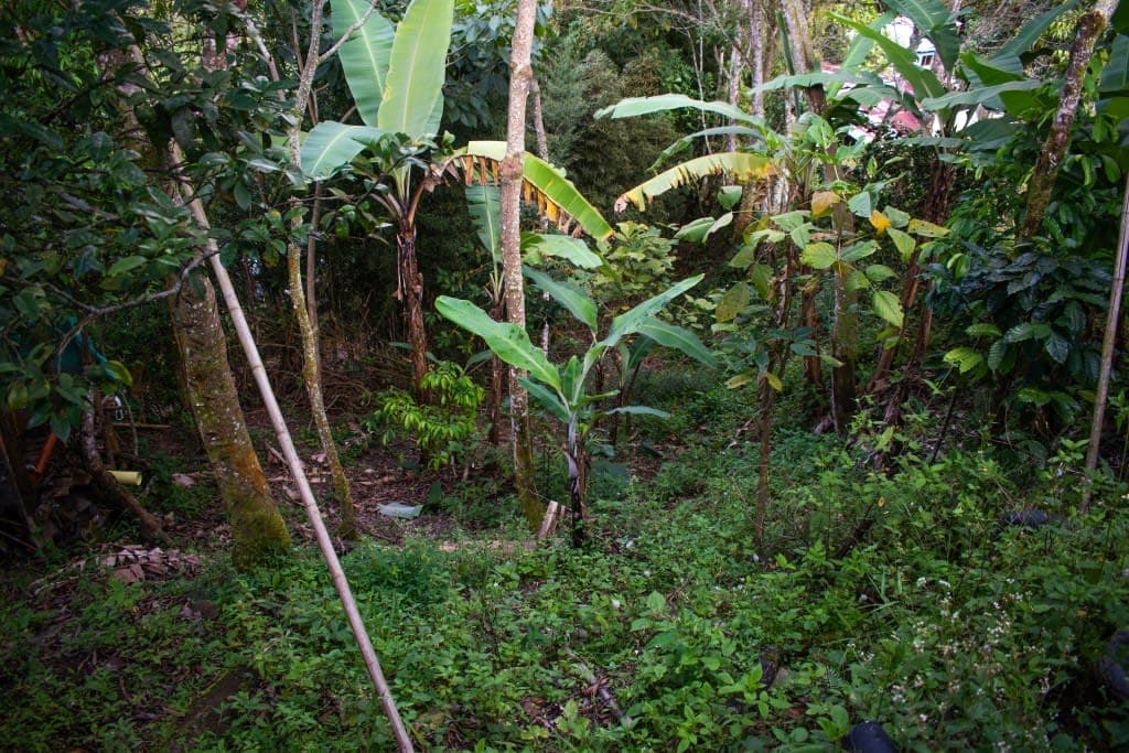 Lvc 015 Casa Lote La Paloma $280 en venta La Vega, Cundinamarca - LVC015 · Su Finca Raíz