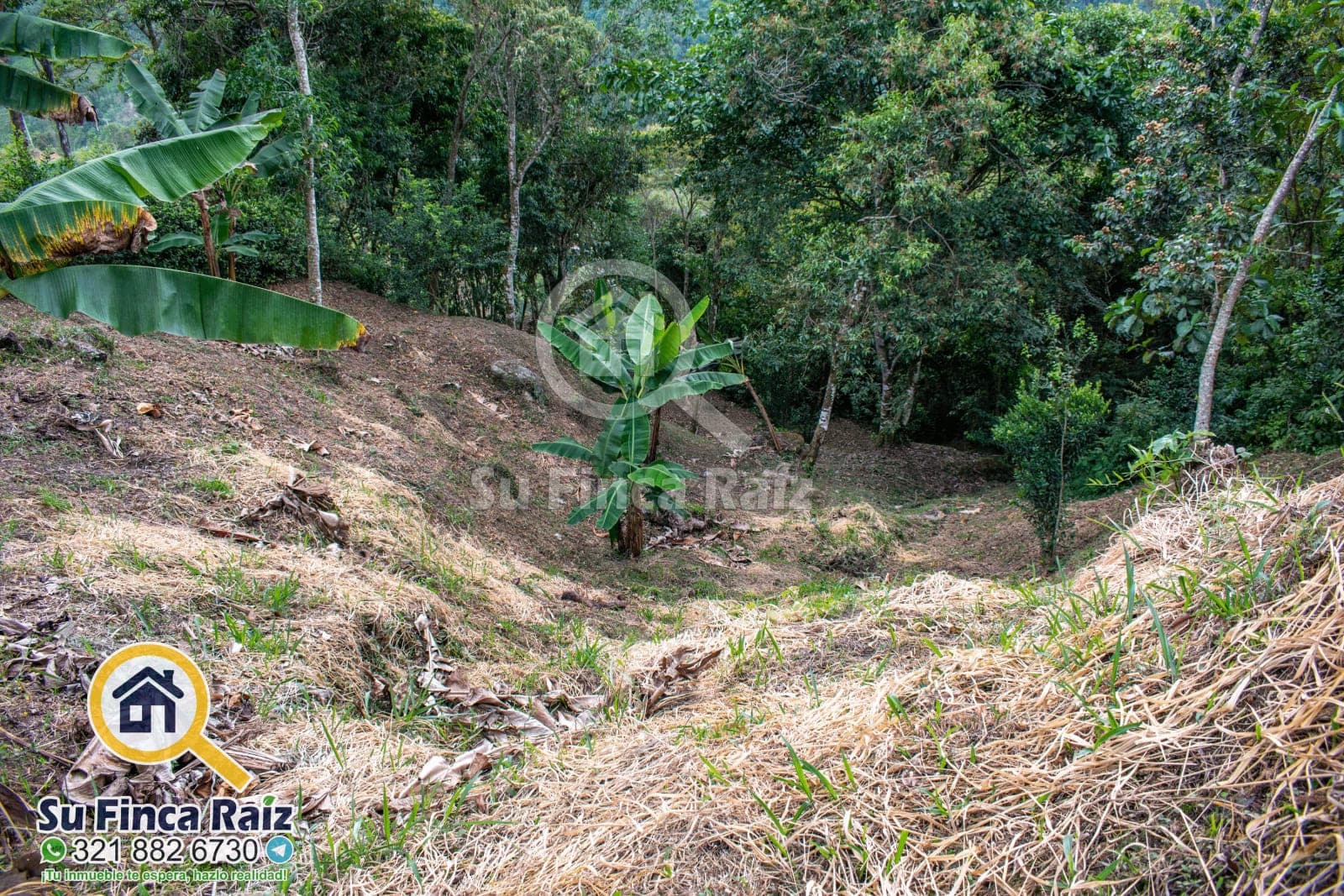 Lote En Condominio La Rivera en venta La Vega, Cundinamarca - LVD006 · Su Finca Raíz